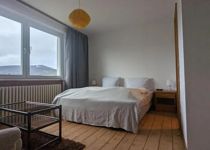 Braunlage Vintage Quartier - Haus Bis 14 Personen - 8 Zimmer Wg